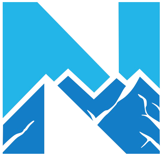 Logo_N_no background PNG